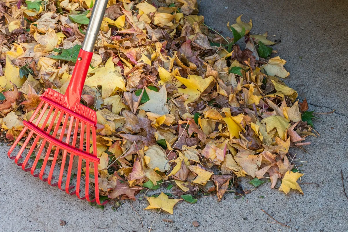 A red garden rake resting on a heap of raked autumn leaves on a concrete drive.